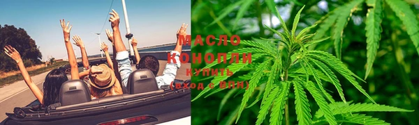 дмт Богородицк