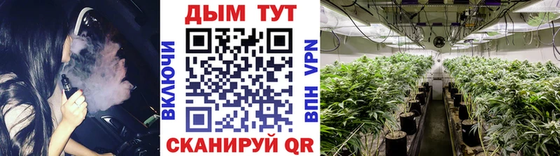 Конопля план Пересвет